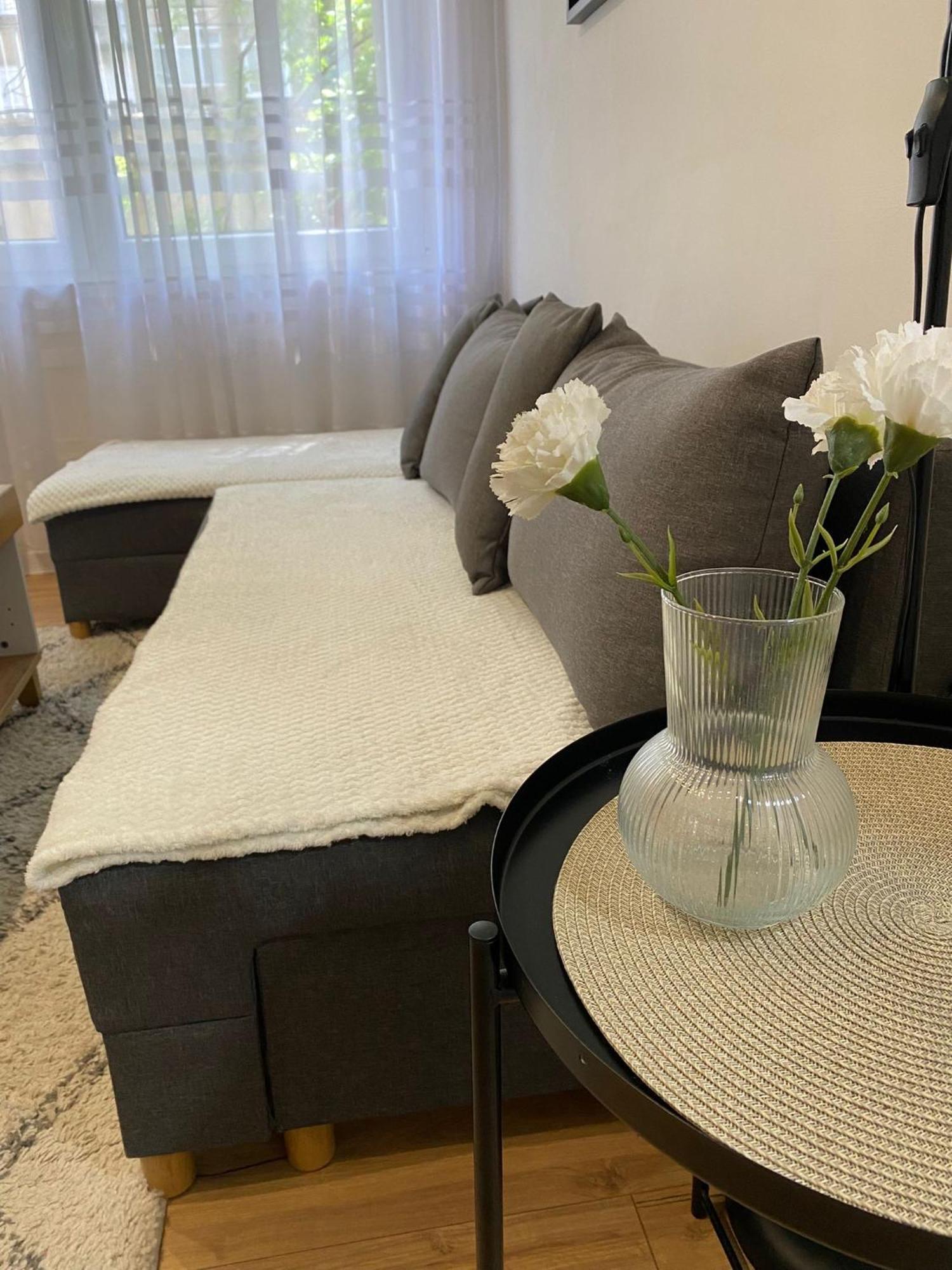Urban Oasis Apartment Sajmiste Eksteriør bilde
